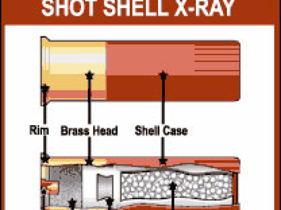 Shotgun Shells