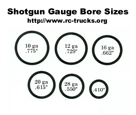12 gauge shotgun shell size