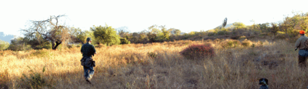 Birding with Balderrama or Hot-Barrel Hunting in Mexico