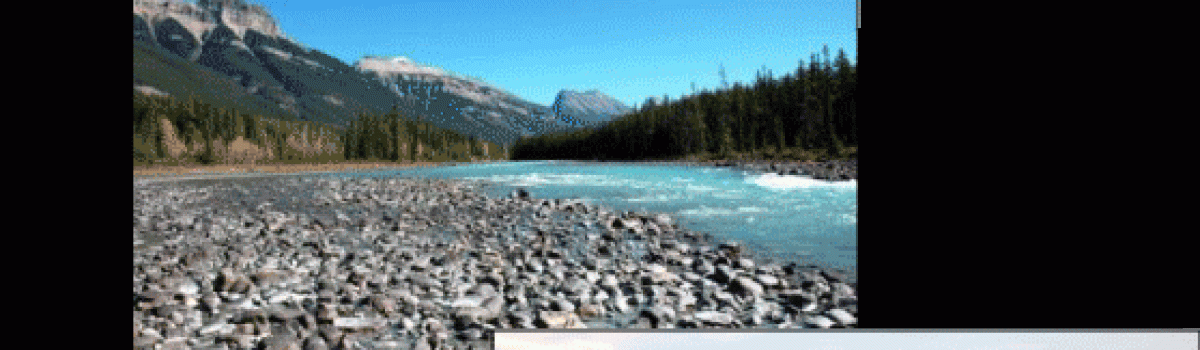 Taking the Long, Scenic Road to Goose Hunting in Alberta