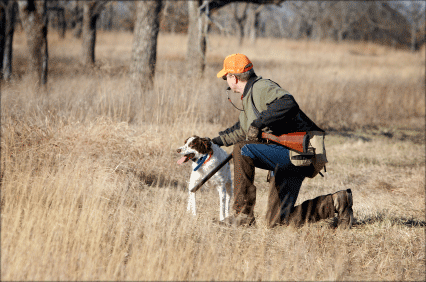 hunter-brittany-pup