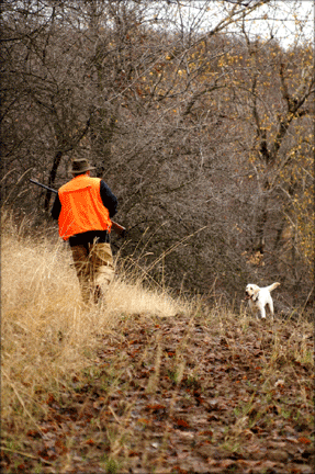 man-dog-bird-hunting