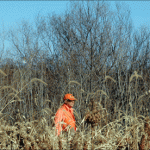 Mark-in-Deep-grass