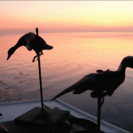 SunriseDecoys