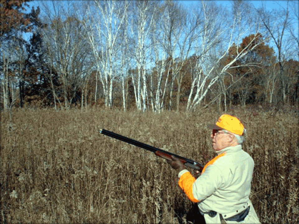 Dreams of Midwestern Grouse Hunting