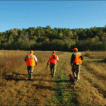 3-hunters-dog