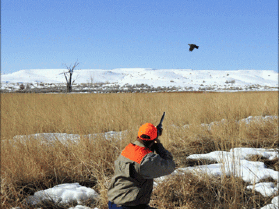 Castle Valley Outdoors