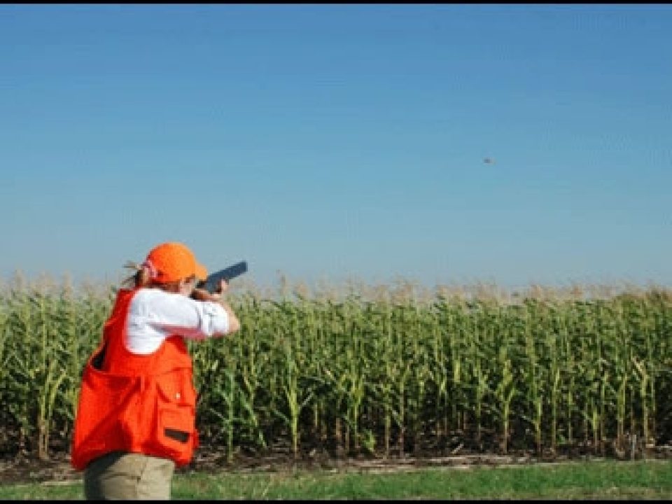 Pheasant Fun With the NRA’s Women On Target