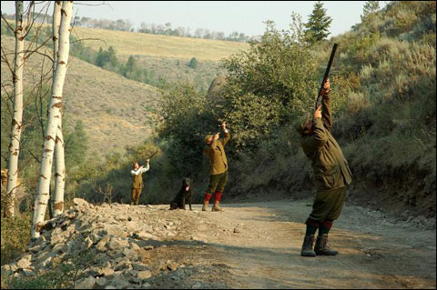 Driven Pheasant Line Shoots