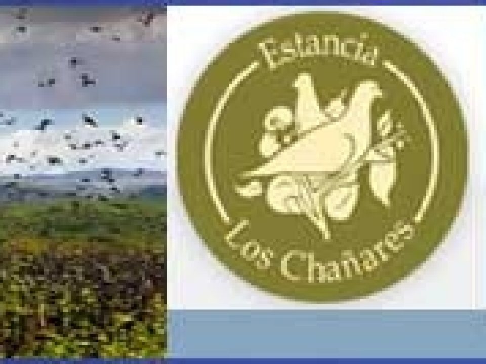 Los Chanares