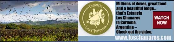 Los Chanares 1 60959e8d8c34f5c00b9627dfd768f462