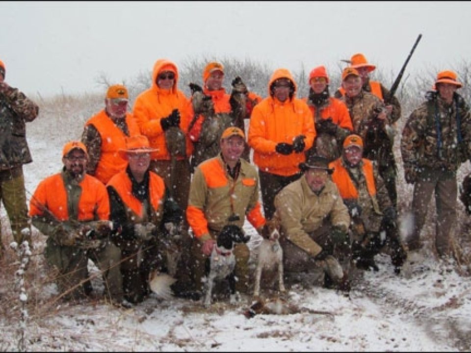 When Snow Falls on Kansas Pheasant Fields