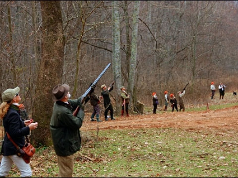 Pheasants Two Ways at Primland