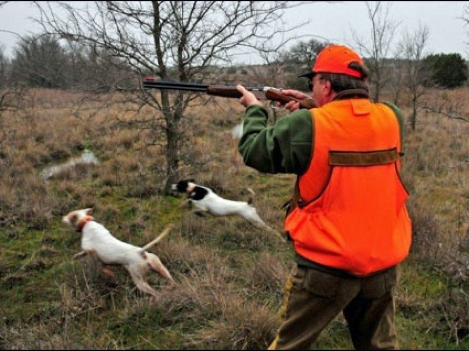 Life in the Not-So-Rough Lane: A Visit to Rough Creek Resort