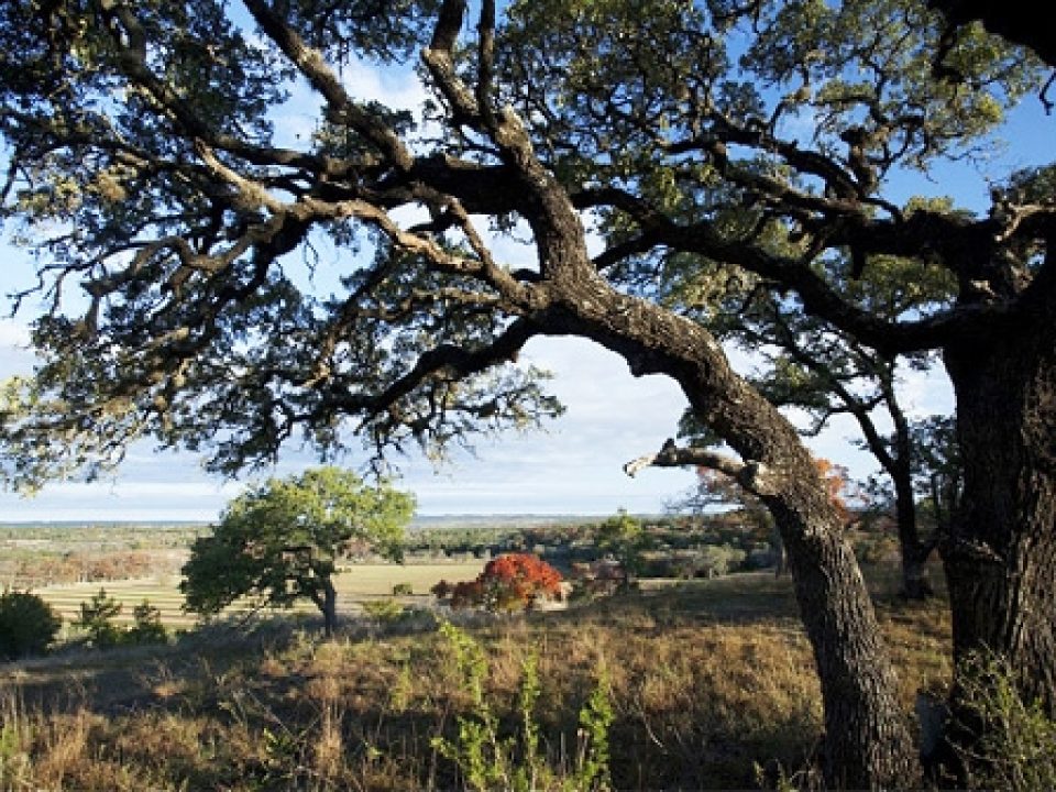 How I Survived the Great Texas Drought of 2011 as an Upland Outfitter