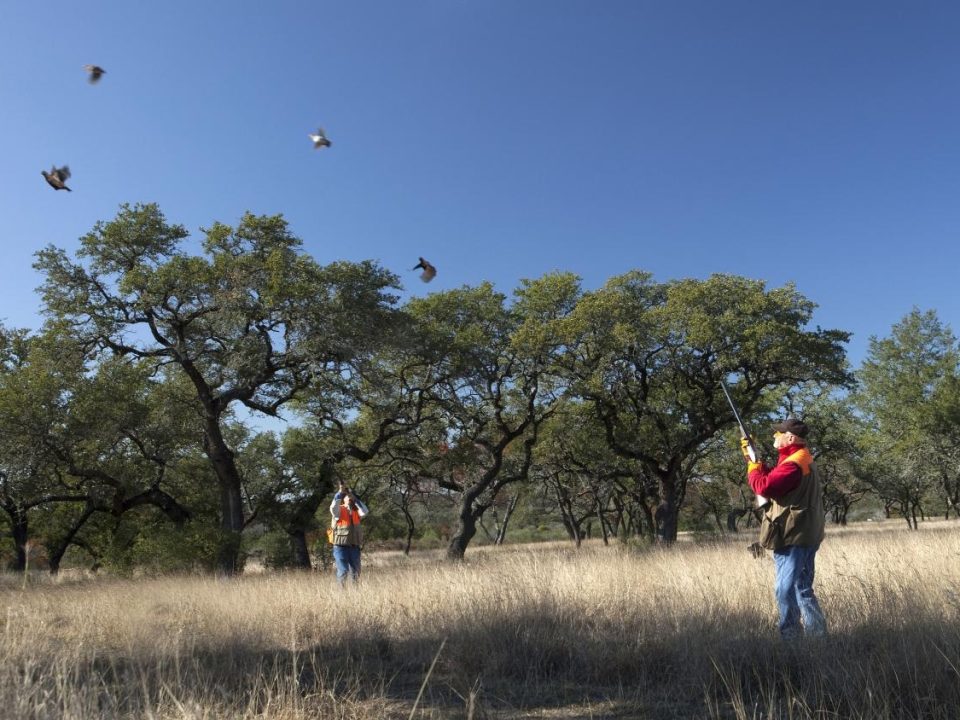 7 Essential Steps for Finding Your Ideal Outfitter