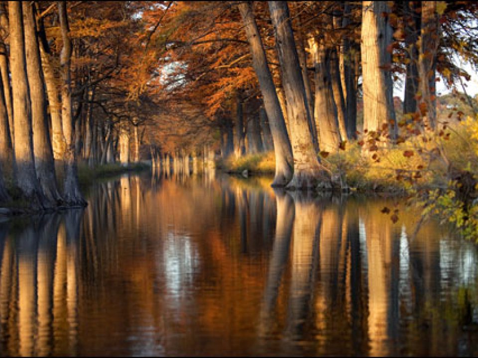 Optimism and Opportunity