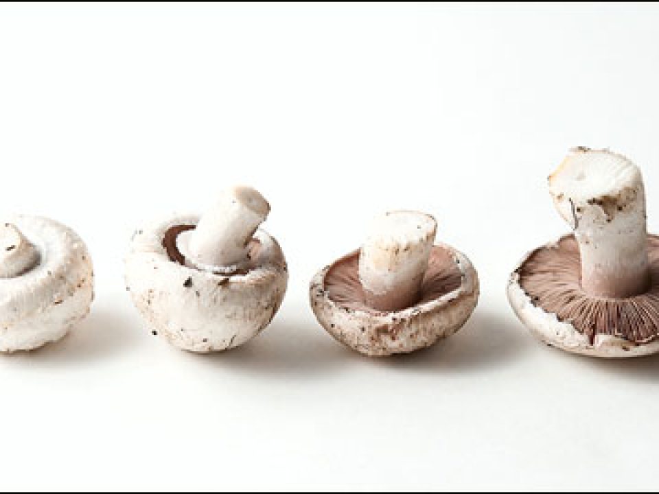 Hunting the Unexpected