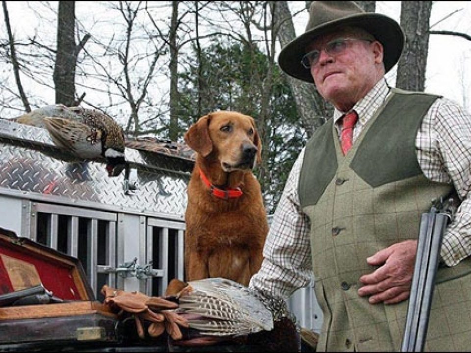 Expert Dog Trainer Robert Milner Says Heck No to Shock Collars