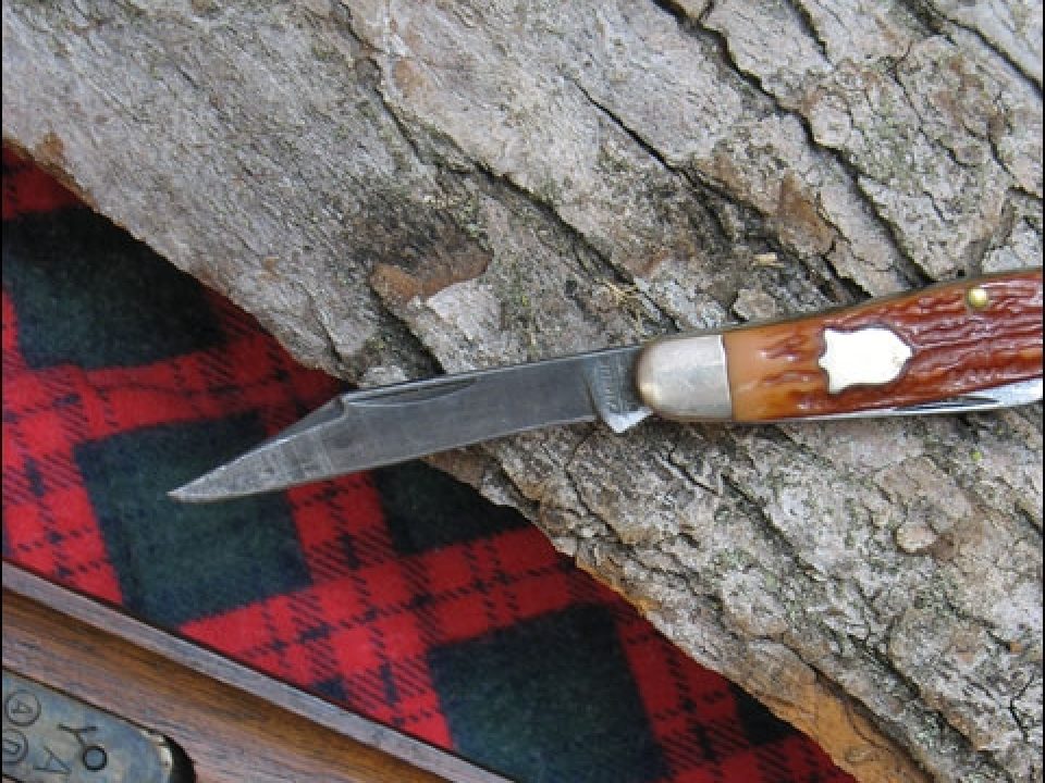 G.S. and the Mystery Stevens Side-by-Side