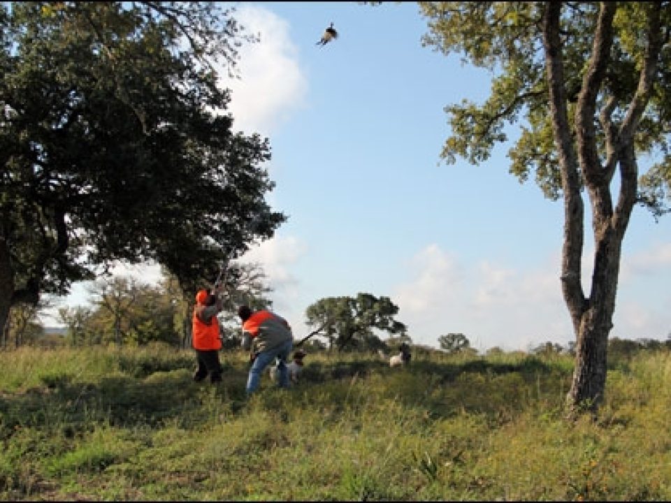 Replenishing Body and Soul at Joshua Creek Ranch