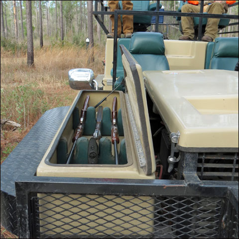 The Wild and Wiley Bobwhites of Honey Lake Plantation 9 Buggy