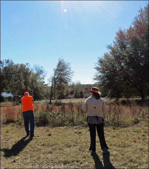 The Wild and Wiley Bobwhites of Honey Lake Plantation 8 King-Sheila
