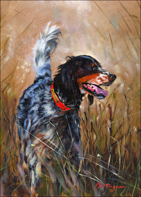 Replenishing Body and Soul at Joshua Creek Ranch 5 The-Good-Setter