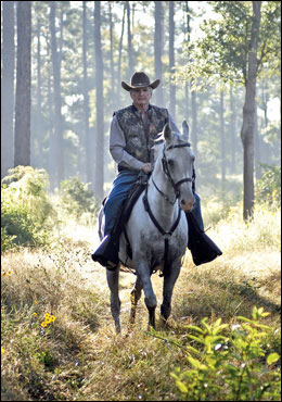 The Wild and Wiley Bobwhites of Honey Lake Plantation 4 bob-horse