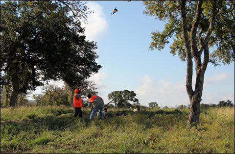 Replenishing Body and Soul at Joshua Creek Ranch 6 pheasant-shot