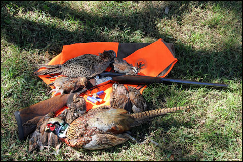Replenishing Body and Soul at Joshua Creek Ranch 11 still-life
