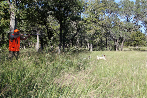 Replenishing Body and Soul at Joshua Creek Ranch 2 tall-grass