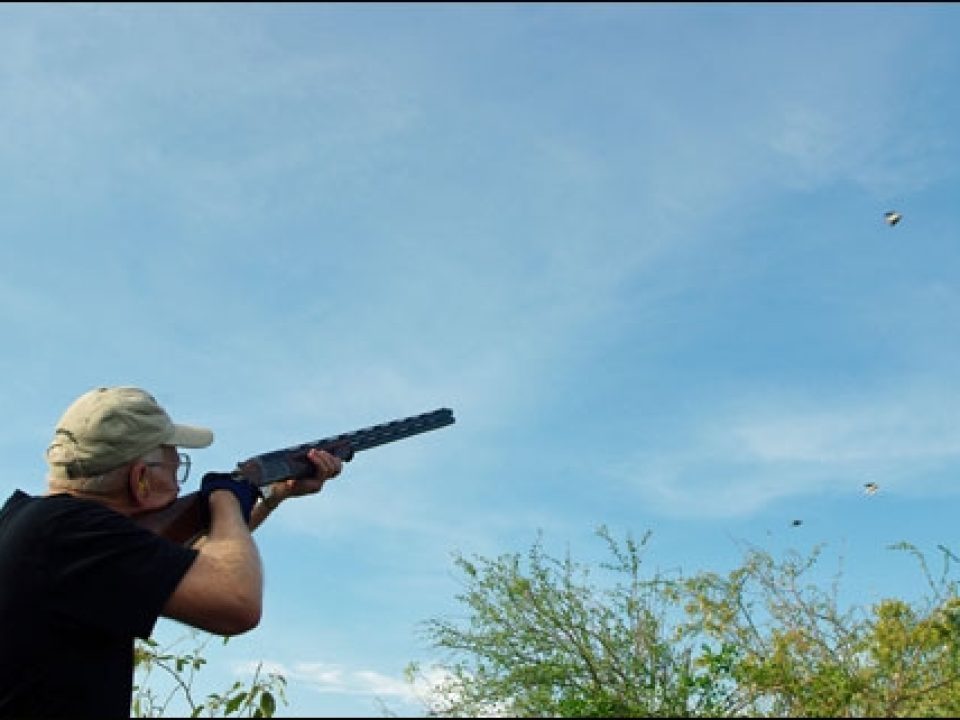 Bolivia: South America’s Other Dove Shooting Paradise