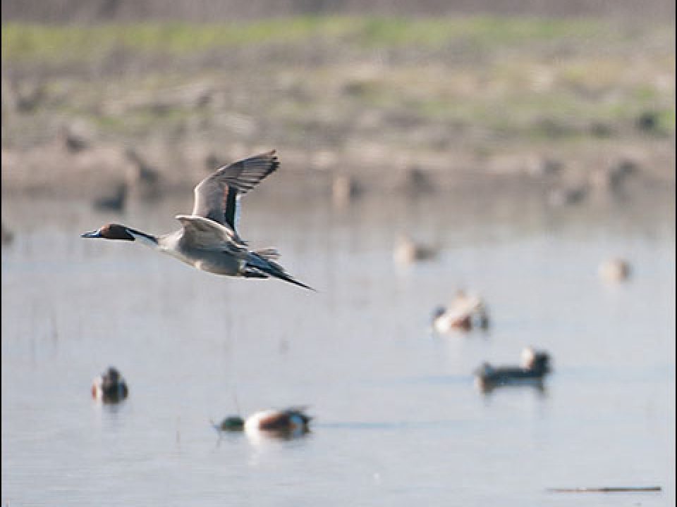 A Different Kind of Hunting Story