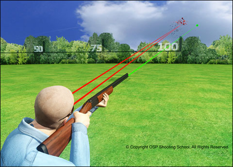 Exclusive: First Look at the OSP Knowledge Vault Web Site From Celebrated Shotgun Instructors, Gil and Vicki Ash 8 OSP CROSS LR BEHIND HR 01