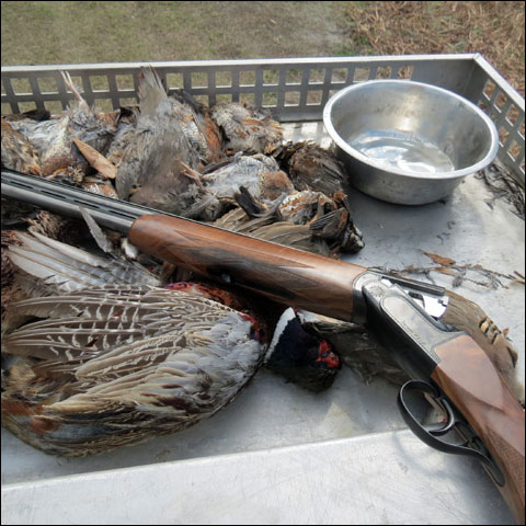 Focus, Movement, Faith at the Gilchrist Club 10 Perazzi