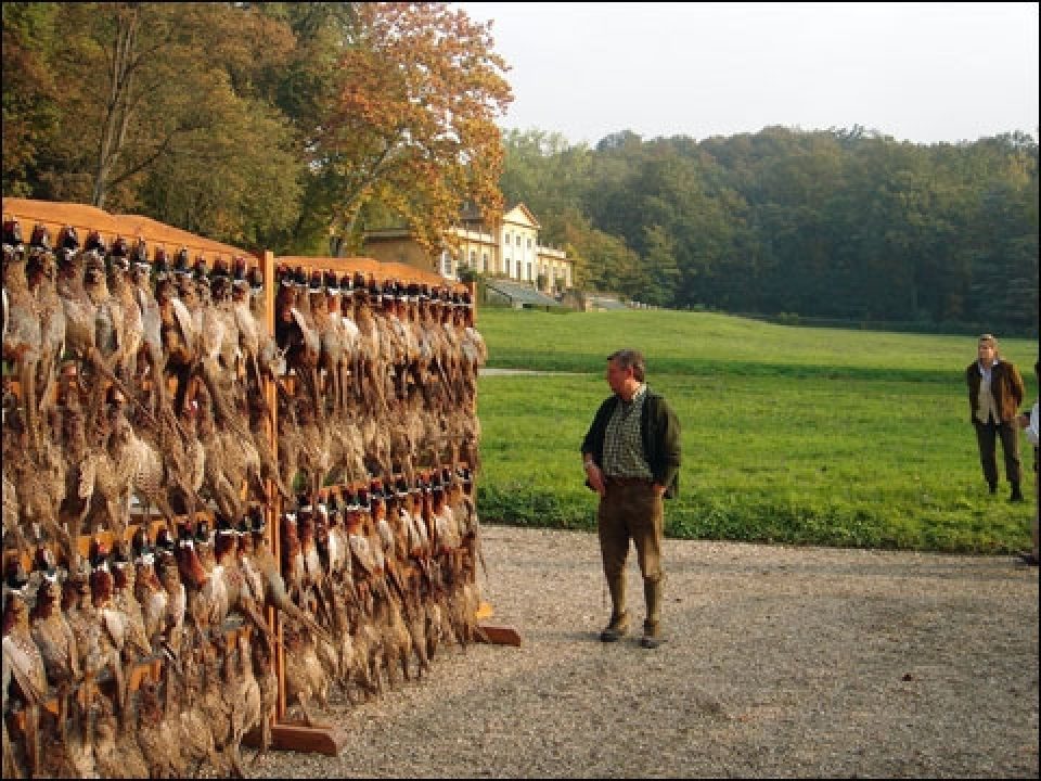 With Fabbri in Italy