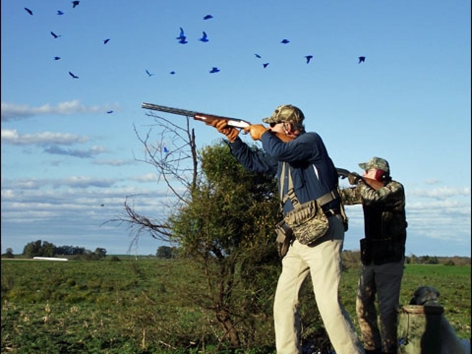 Absolutely Awesome Argentina