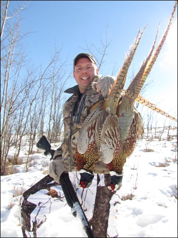 Cold Weather Pheasants