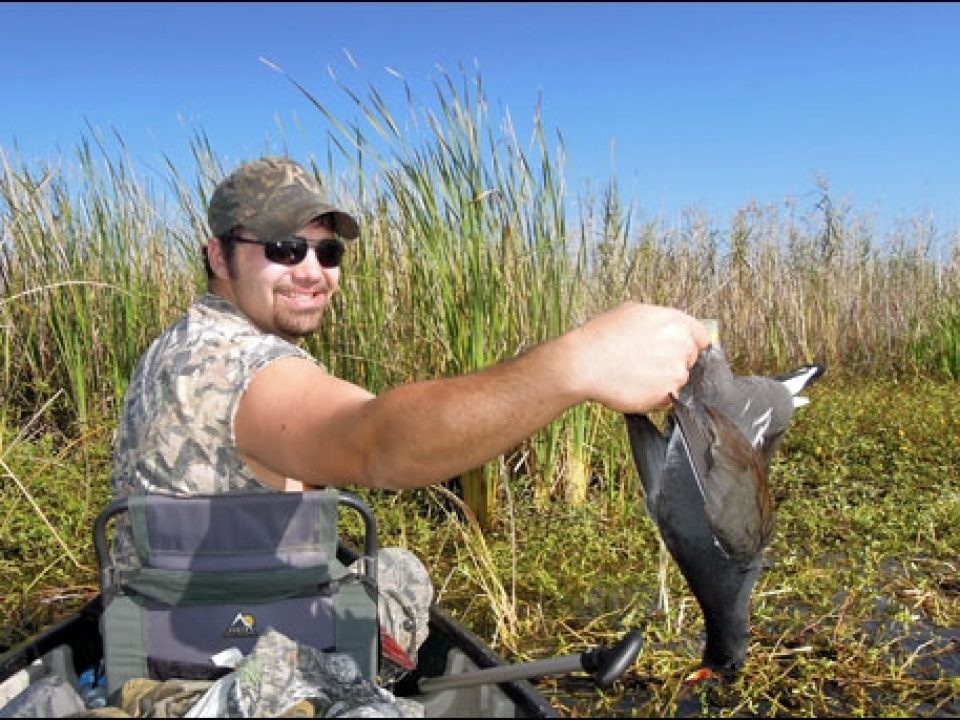 Fast Wingshooting Action From Louisiana’s Gallinules
