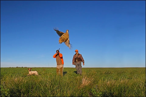 Wildlife - Gary Kramer Photographer / Writer