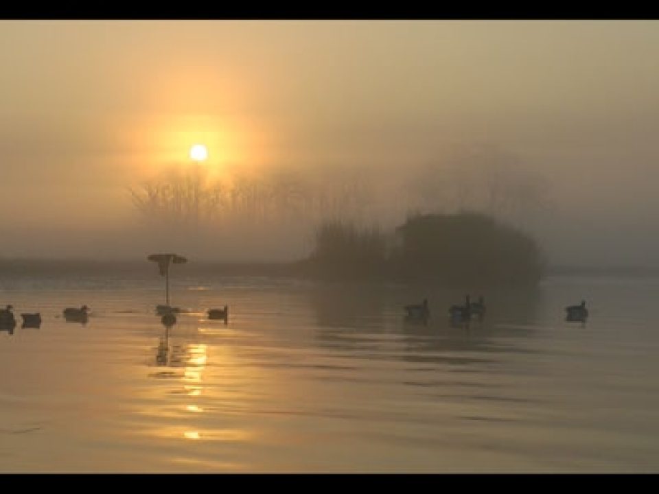 M&M Hunting & Sporting Clays Revs Up the Mid-Atlantic with New “Fair-Chase” Hunting and Historic Lodging