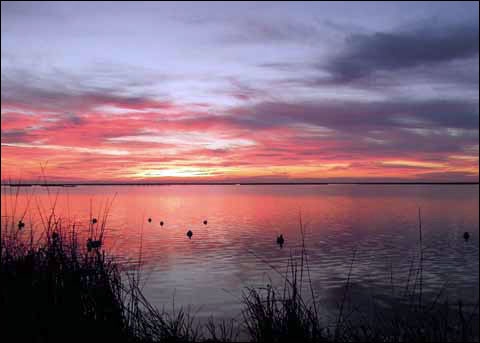 The Old Duck Hunter 1 717c6fb0dff4b7bf3cb4cc45603e902e