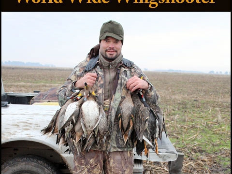 The Traveling Wingshooter – November 2016