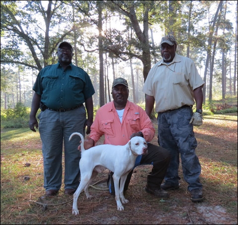 Field store trial dogs