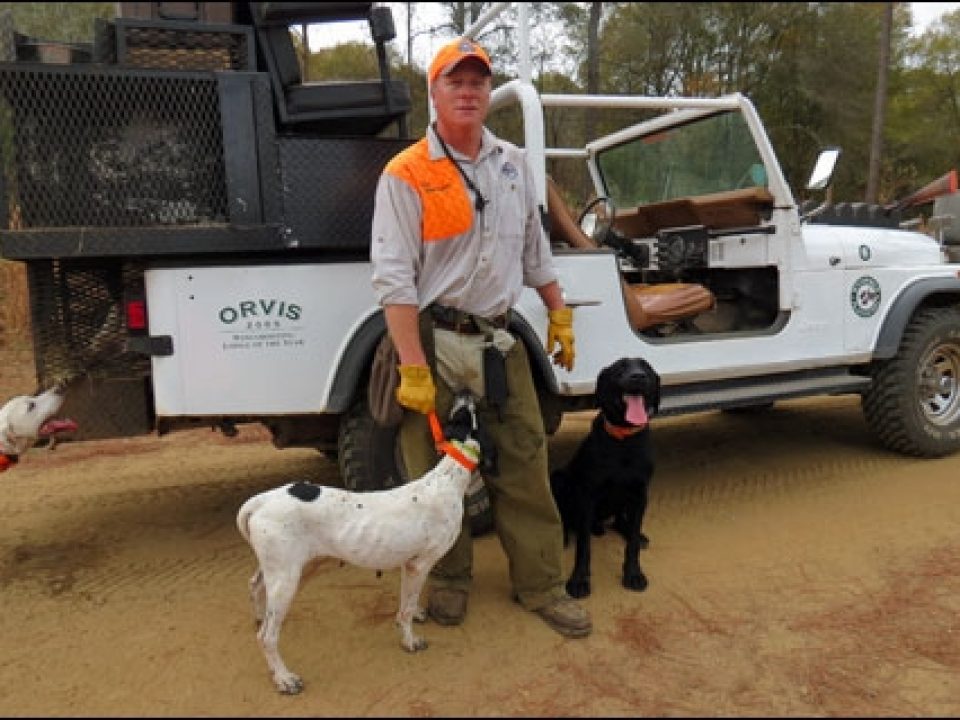 Hunting Wynfield Planation in Georgia’s Wild Quail Belt
