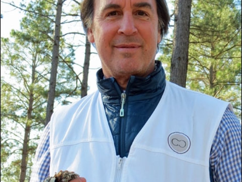 Hunting Wild Quail with Arthur S. DeMoulas, the New American Owner of English Best Gun Maker Boss & Co.