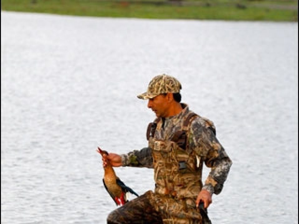 Spring Wingshooting in Argentina at Los Laureles