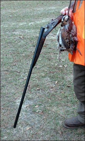 The Thomas Ferney Type-1 Side by Side Meets the Wild Quail of Sinkola Plantation 1 c5949b98a954ba20a6a6d17790280cde
