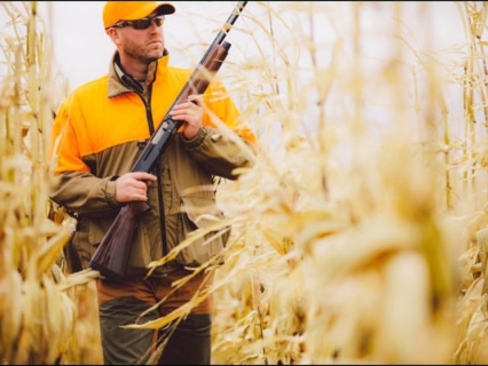 Browning’s New A5 Sweet 16: How Sweet It Is